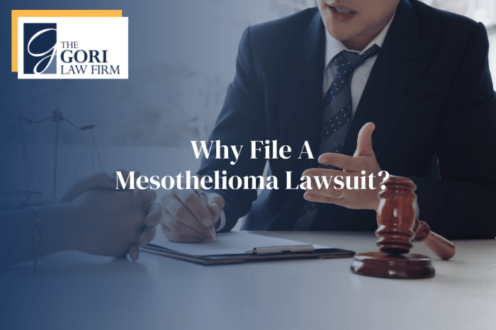 Why Should You file a Mesothelioma Lawsuit? | The Gori Law Firm